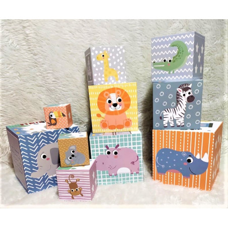 Cubes gigognes de 10 pièces