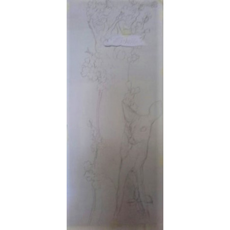 Toise en bois "Faon"